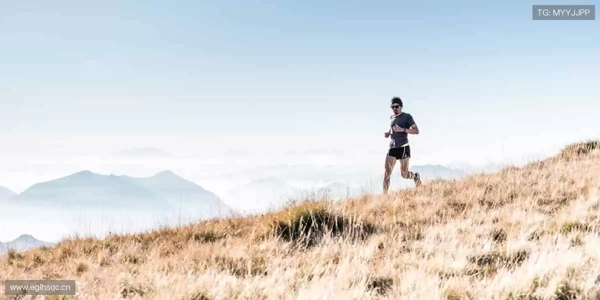 🏀激情赛场,见证冠军诞生时刻!